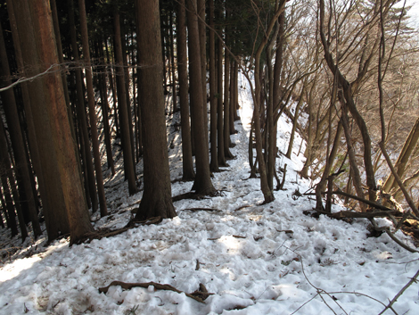 20160128hike (261)